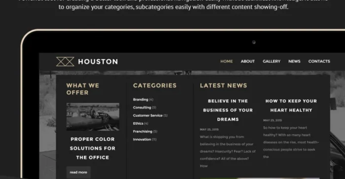 Houston WordPress Theme