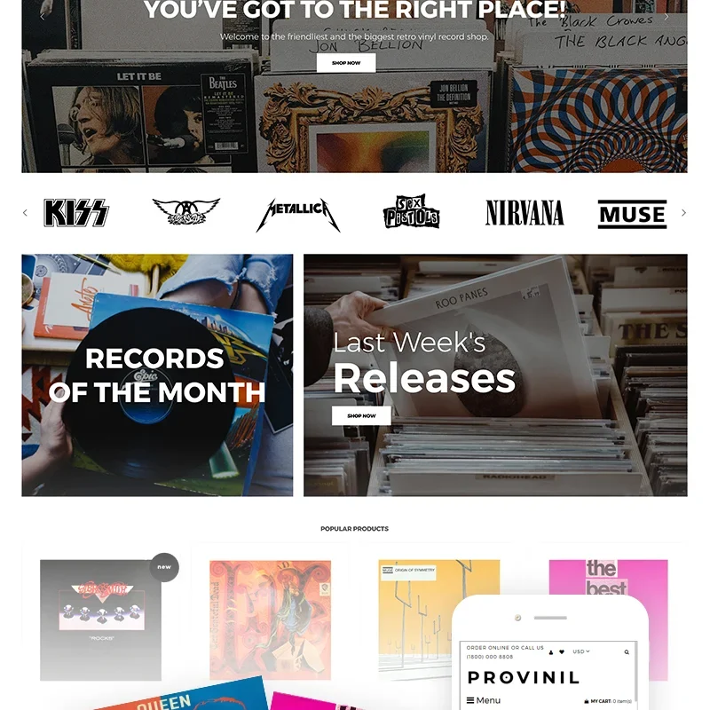 Provinil - Vinyl Store Shopify Theme