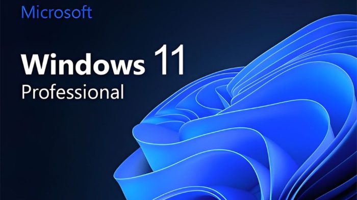 Windows 11 Professional Edition Download – Single PC