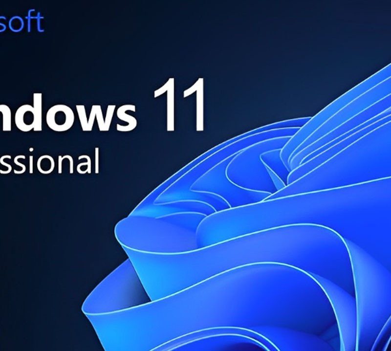 Windows 11 Professional Edition Download – Single PC