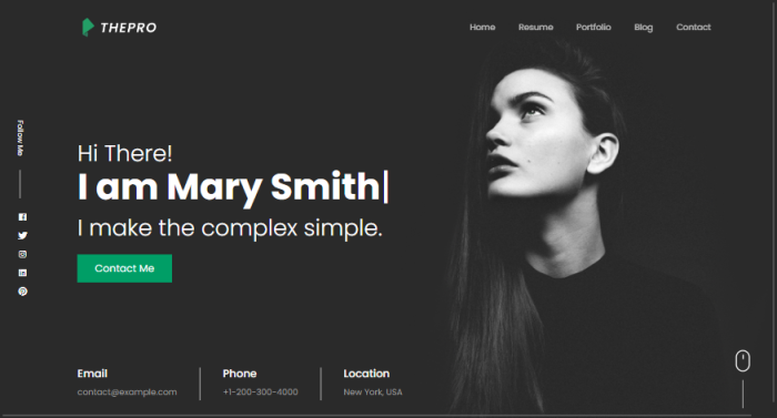 ThePRO - Personal Portfolio WordPress Theme